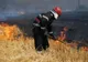 Incendiile de vegetație uscată fac ravagii în județul Giurgiu 