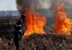 Pompierii de la ISU Giurgiu au intervenit la mai multe incendii de vegetație uscată și gunoi menajer
