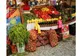 Producători agricoli din 9 localități din județul Giurgiu, la Ziua Agriculturii 