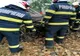 Giurgiu. Accident rutier pe DJ 504. Șoferul unui autoturism a decedat 