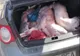 Comerțul ilegal cu porci, în vizorul inspectorilor sanitar-veterinari și al polițiștilor