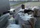 Treninguri contrafăcute, estimate la o valoare de 20.000 lei, descoperite în P.T.F. Giurgiu 