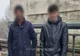 Un irakian şi un palestinian, prinşi în timp ce se deplasau pe jos pe Podul Prieteniei. Migranţii intenţionau să ajungă ilegal în Germania  