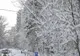 Fenomene meteo EXTREME, în România: cod galben de ninsori, polei și vânt puternic - rafale de până la 100 km/h