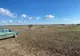 Giurgiu. Bărbaţi prinşi la braconaj pe un fond de vânătoare din Roata de Jos