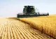 Ministrul Agriculturii spune că România are destule stocuri de cereale și nu va opri exporturile
