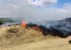 Giurgiu. Cinci incendii de vegetaţie uscată, în weekend