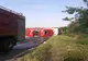 FOTO Un autotren încărcat cu porci s-a răsturnat pe un drum din județul Giurgiu