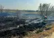 Giurgiu. Intervenţii ale pompierilor la mai multe incendii de vegetaţie uscată 