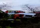 Accident rutier pe DN 5B. Două persoane au fost descarcerate şi transportate la spital
