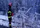 Copac căzut pe carosabil din cauza zăpezii, pe DN 5! Pompierii, în alertă!