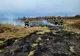 Incendiu de vegetaţie uscată, în municipiul Giurgiu. Aproximativ 1000 mp au ars