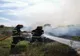 Incendiu la Novaci. Au ars un hectar de vegetaţie uscată şi deşeuri din material plastic