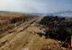 Giurgiu. Hectare întregi de orz şi vegetaţie uscată, distruse de incendii
