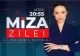 Ana Maria Păcuraru: „La Cotroceni ajunge o anchetă care lovește nu în Bolojan, nu în Fritz, ci în anturajul președintelui”