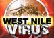 A fost confirmat primul caz de West Nile în Giurgiu