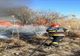 Aproximativ 50 de hectare de vegetaţie uscată şi stuf, mistuite de flăcări, la Roata de Jos