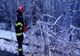 Copac căzut pe carosabil din cauza zăpezii, pe DN 5! Pompierii, în alertă!