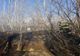 Giurgiu. Incendiu violent pe şoseaua Portului. Hectare întregi de vegetaţie uscată, în flăcări