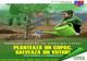 Direcţia Judeţeană de Transport Giurgiu iniţiază Campania "Plantează un copac, salvează un viitor"