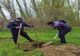 Jandarmii au plantat sute de copaci în Herăşti